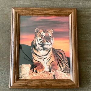 8x10 Custom-framed Bengal Tiger (LSU!)